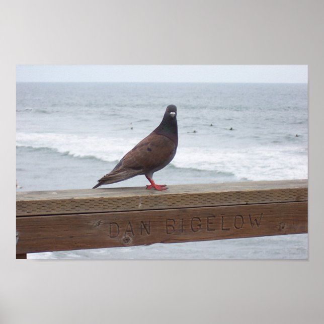 Pôster Dan Bigelow (Frente)