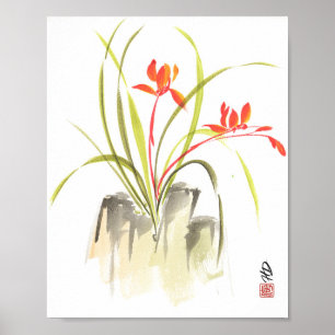 Poster Dança da Orquídea Escarlate