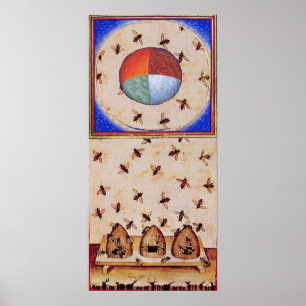 PÔSTER DANÇA DAS ABELHAS DE MEL COM QUATRO ELEMENTOS