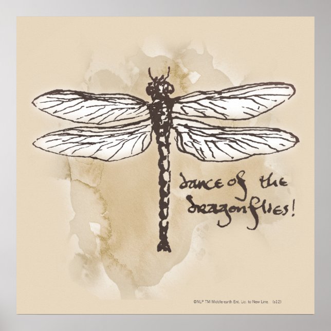 Pôster Dança das libélulas (Frente)