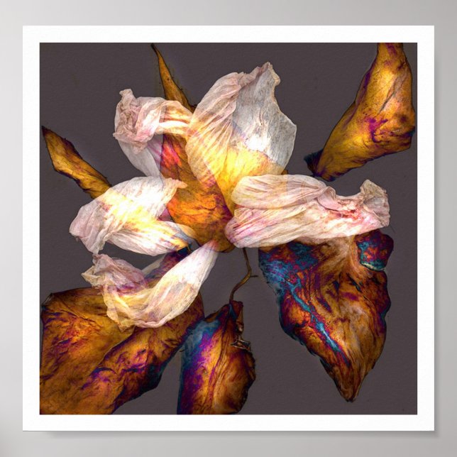 Poster Dança de Flor (Frente)