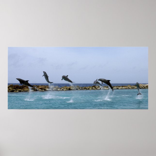 Pôster Dança de golfinho (Frente)