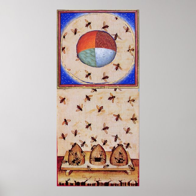 PÔSTER DANÇA DE MEL COM QUATRO ELEMENTOS (Frente)