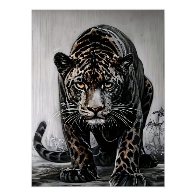 Pôster Dança do Predador (Frente)