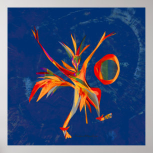 Poster Dança estelar