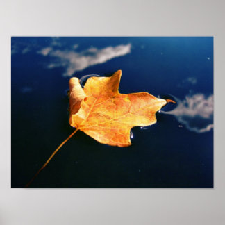 Poster dançarino de nuvem (dimensionado automaticamente)