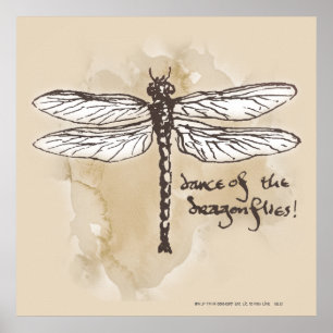 Pôster Dance of the Dragonflies
