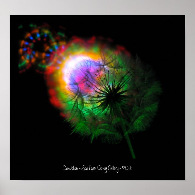 Poster Dandelion (Frente)