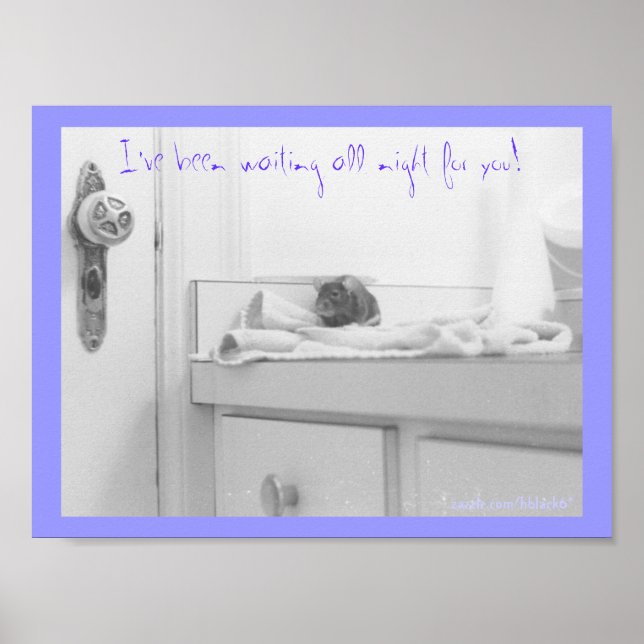 Pôster Dandelion (Frente)