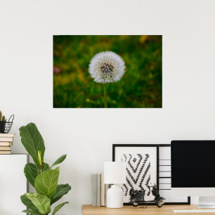 Poster Dandelion