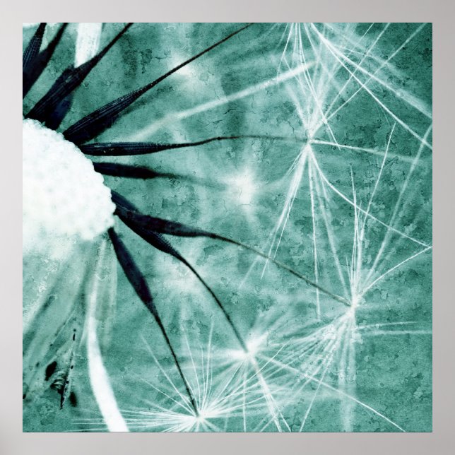Pôster Dandelion Art - Pusteblume Kunst 2012 008 (Frente)