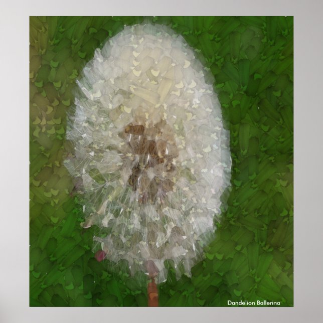 Poster Dandelion Ballerina por Celeste Sheffey (Frente)