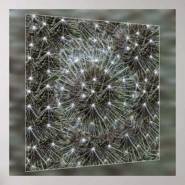 Poster Dandelion de rotação (Frente)