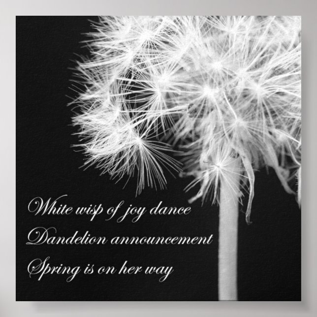 Poster Dandelion Haiku Canvas Print (Frente)