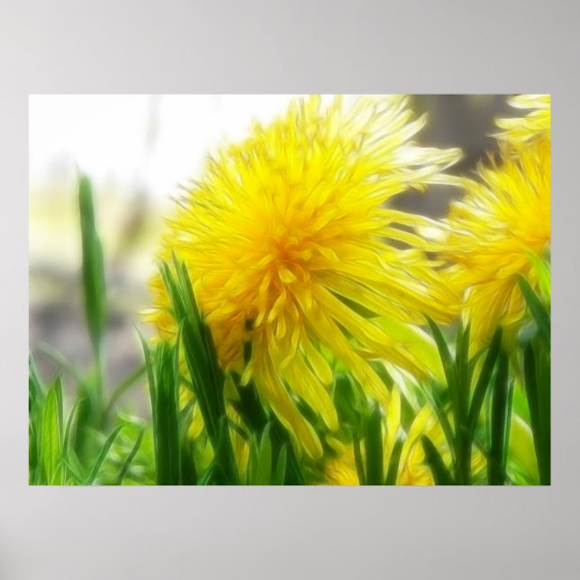 Pôster Dandelion Portrait (Frente)