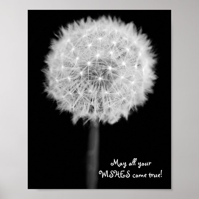 Poster Dandelion: "Que todos os seus desejos se realizem! (Frente)