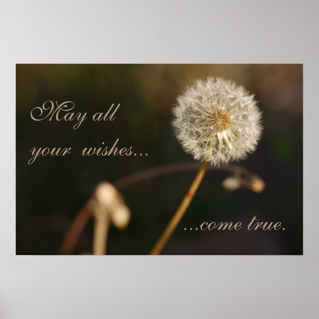 Poster Dandelion Seed Head em tons castanhos (Frente)