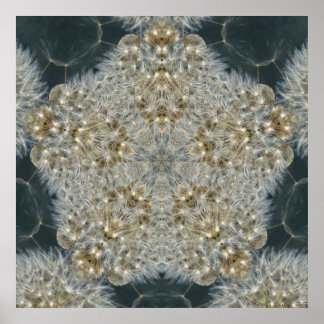 Pôster Dandelion Star Nov 2012