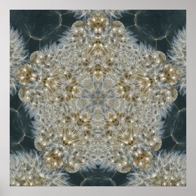 Pôster Dandelion Star Nov 2012 (Frente)