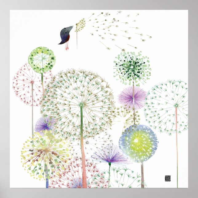 PÔSTER DANDELIONSBIRD (Frente)