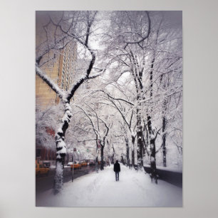 Pôster Dando uma volta um passeio nevado da cidade