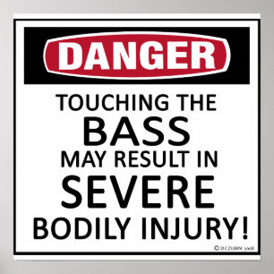 Pôster Danger Bass
