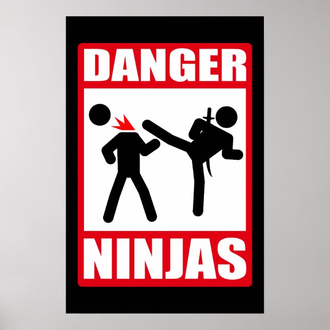 Pôster Danger Ninjas (Frente)
