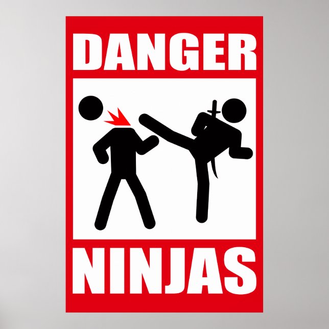 Pôster Danger Ninjas (Frente)