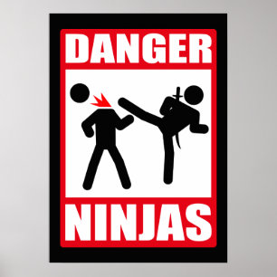 Pôster Danger Ninjas