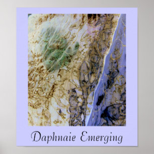 Pôster Daphnaie que emerge