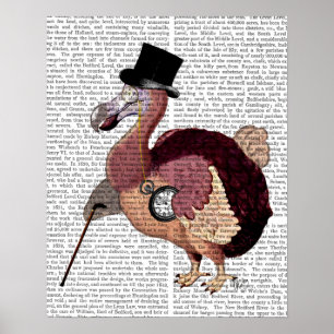 Poster Dapper Dodo