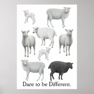 Poster Dare to be Different Black Sheep Print