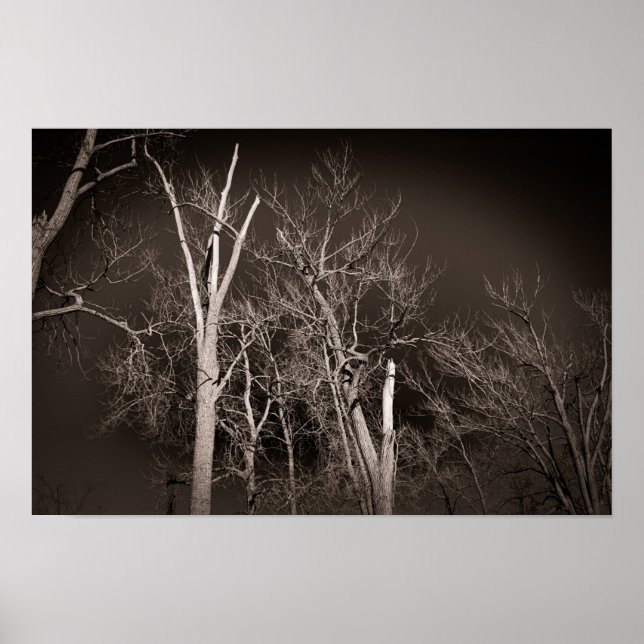 Poster Dark Forest – Haunting Black and White Tree Art (Frente)