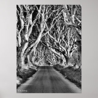 Poster Dark Hedges B&W Print