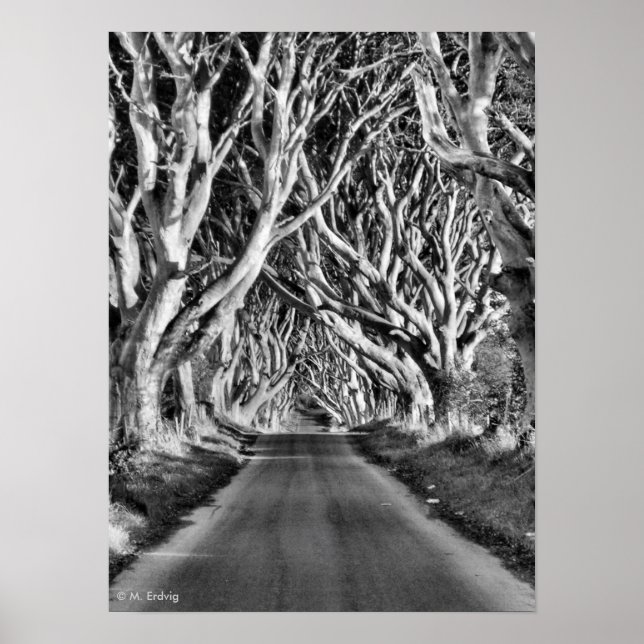 Poster Dark Hedges B&W Print (Frente)