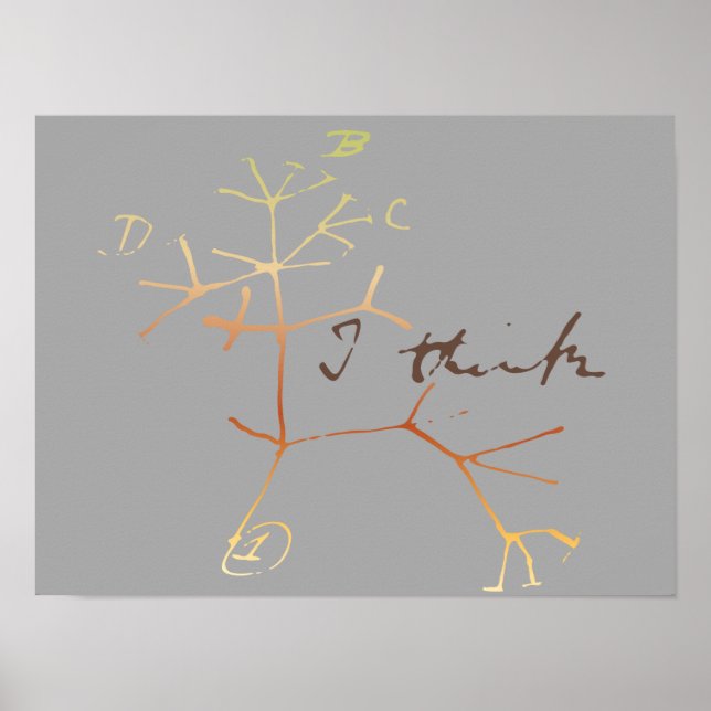 Pôster Darwin, eu acho que árvore da vida (Frente)