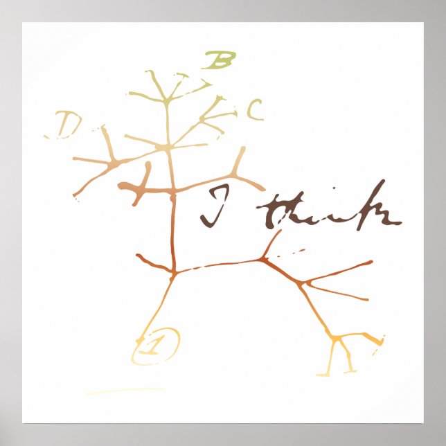 Poster Darwin, eu acho que árvore da vida (Frente)