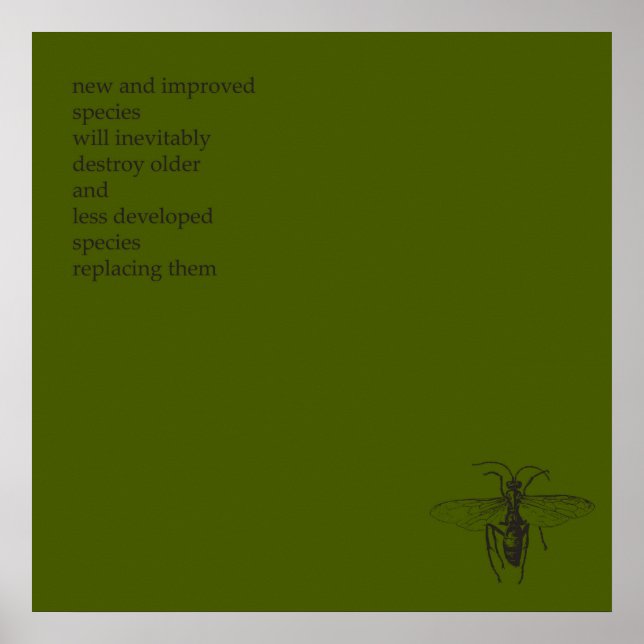 Poster Darwin Origem das Espécies (Frente)