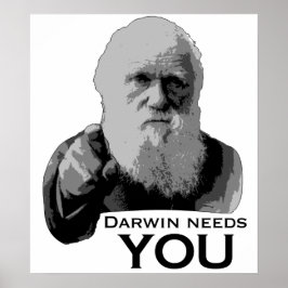 Pôster Darwin Precisa De Você!