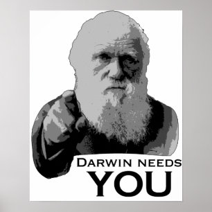 Pôster Darwin Precisa de Você!