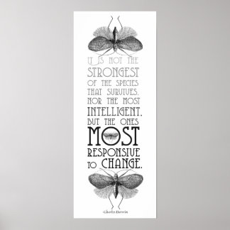 Pôster Darwin Quote Evolution
