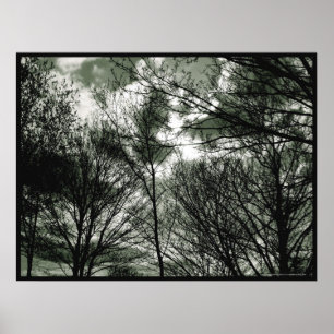 Poster das árvores  