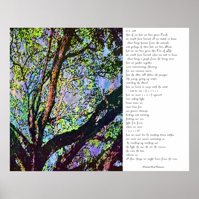 Pôster Das Árvores (Frente)