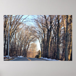Poster das Árvores do inverno