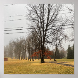 Poster das Árvores do outono