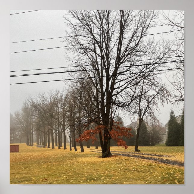 Poster das Árvores do outono (Frente)