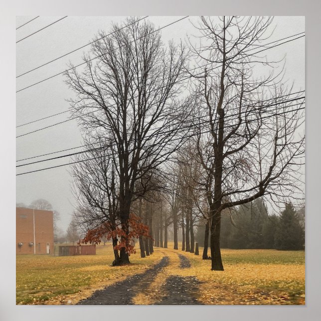 Poster das Árvores do outono (Frente)