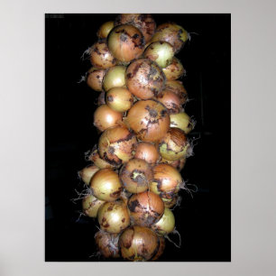 Poster das cebolas