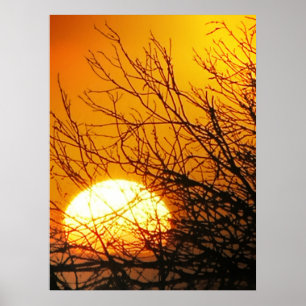 Poster das Delícias Sunset