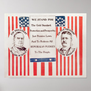Poster Das Eleições De McKinley E Roosevelt - 19
